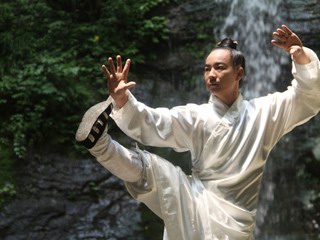 wudang master