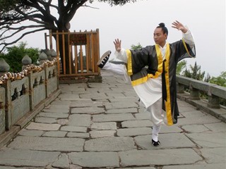 wudang master