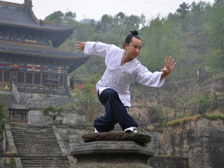 wudang master