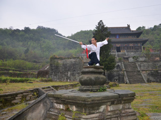 wudang master