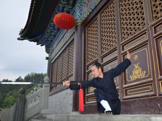 wudang master