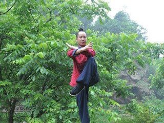 wudang master